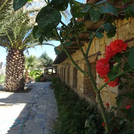 Polat Riva 3* Burhaniye